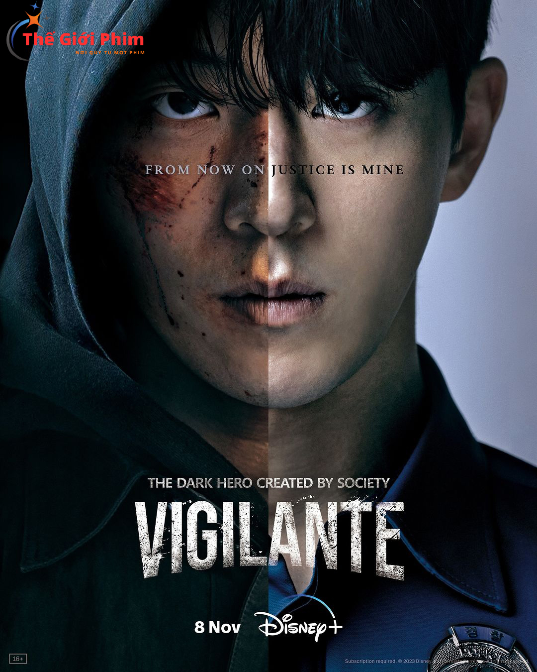 vigilante poster.jpg